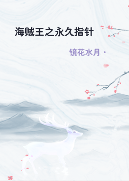海贼王之永久指针