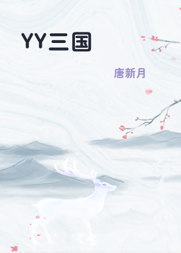 YY三国