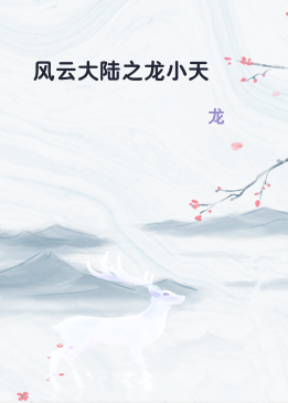 风云大陆之龙小天