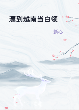 漂到越南当白领