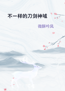 不一样的刀剑神域