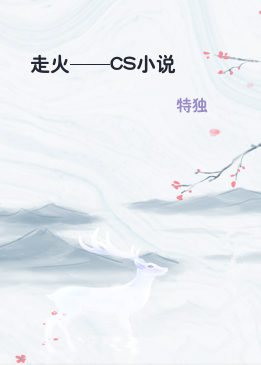 走火——CS小说