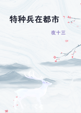 特种兵在都市