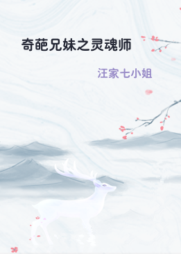 奇葩兄妹之灵魂师