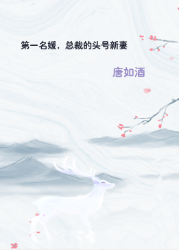 第一名媛，总裁的头号新妻