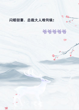 闪婚甜妻，总裁大人难伺候！