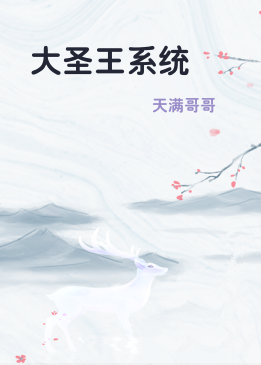 大圣王系统