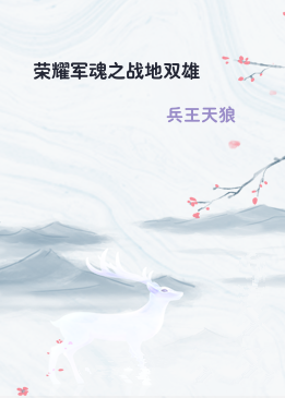 荣耀军魂之战地双雄