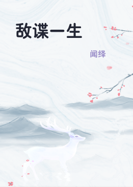 敌谍一生