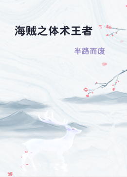 海贼之体术王者