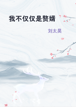 我不仅仅是赘婿