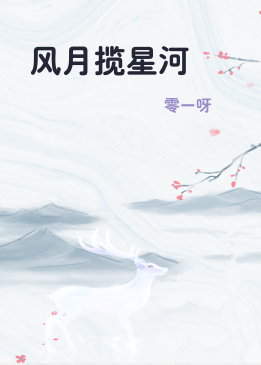 风月揽星河