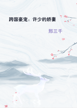 跨国豪宠：许少的娇妻