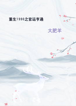 重生1990之官运亨通