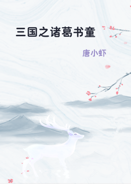 三国之诸葛书童