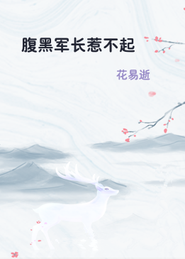腹黑军长惹不起