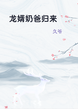 龙婿奶爸归来