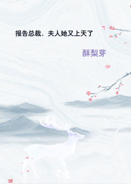 报告总裁，夫人她又上天了