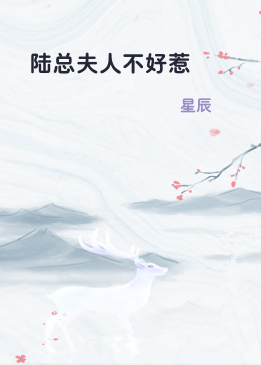 陆总夫人不好惹