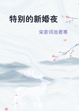 特别的新婚夜