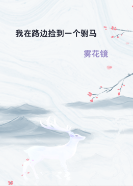 我在路边捡到一个驸马