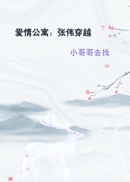 爱情公寓：张伟穿越