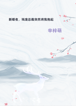 新婚夜，残废总裁突然将我抱起