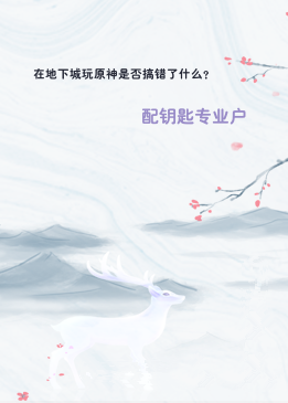 在地下城玩原神是否搞错了什么？