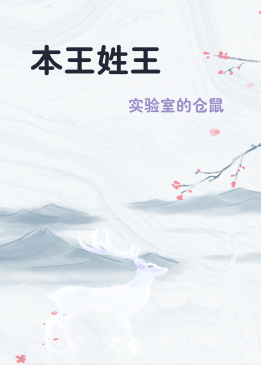 本王姓王