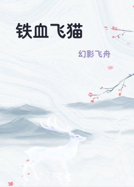 铁血飞猫