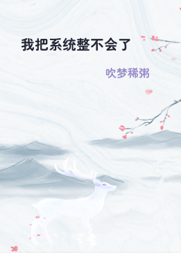 我把系统整不会了