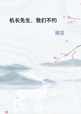 机长先生，我们不约