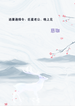 逃妻通缉令：巨星老公，晚上见