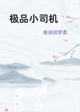 极品小司机