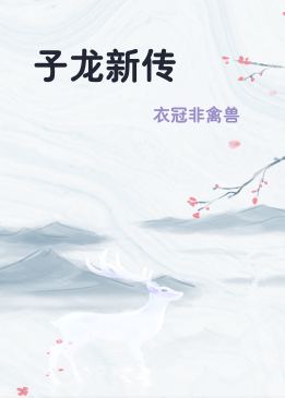 子龙新传