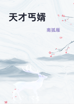 天才丐婿