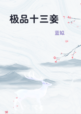 极品十三妾