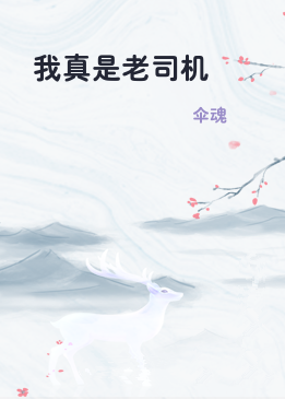 我真是老司机